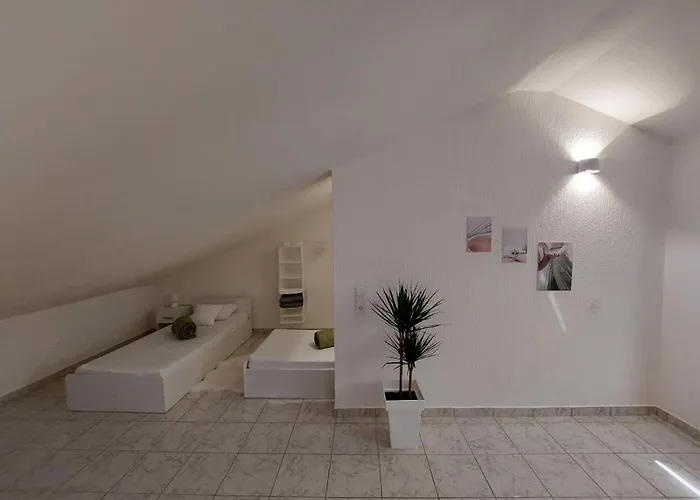 Kadenca Umag