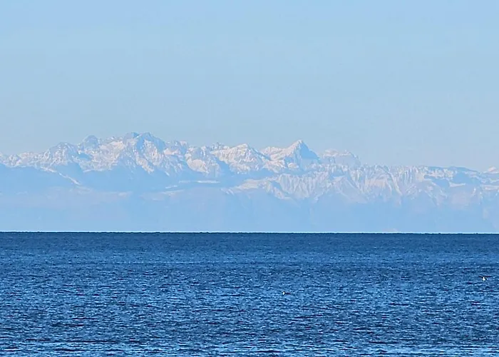 Apartment Kadenca Umag