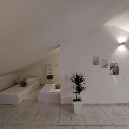 Kadenca Umag